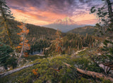 Ravensburger Puzzle – 4 Jahreszeiten – 4X 500-teiliges Puzzle für Erwachsene und Kinder ab 12 Jahren. Puzzle Naty Shop