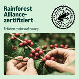 von Amazon Lungo Aluminium-Kaffeekapseln, kompatibel mit Nespresso, mittelgeröstet, 100 Stück (5 Packungen mit je 20 Stück) – Rainforest Alliance zertifiziert