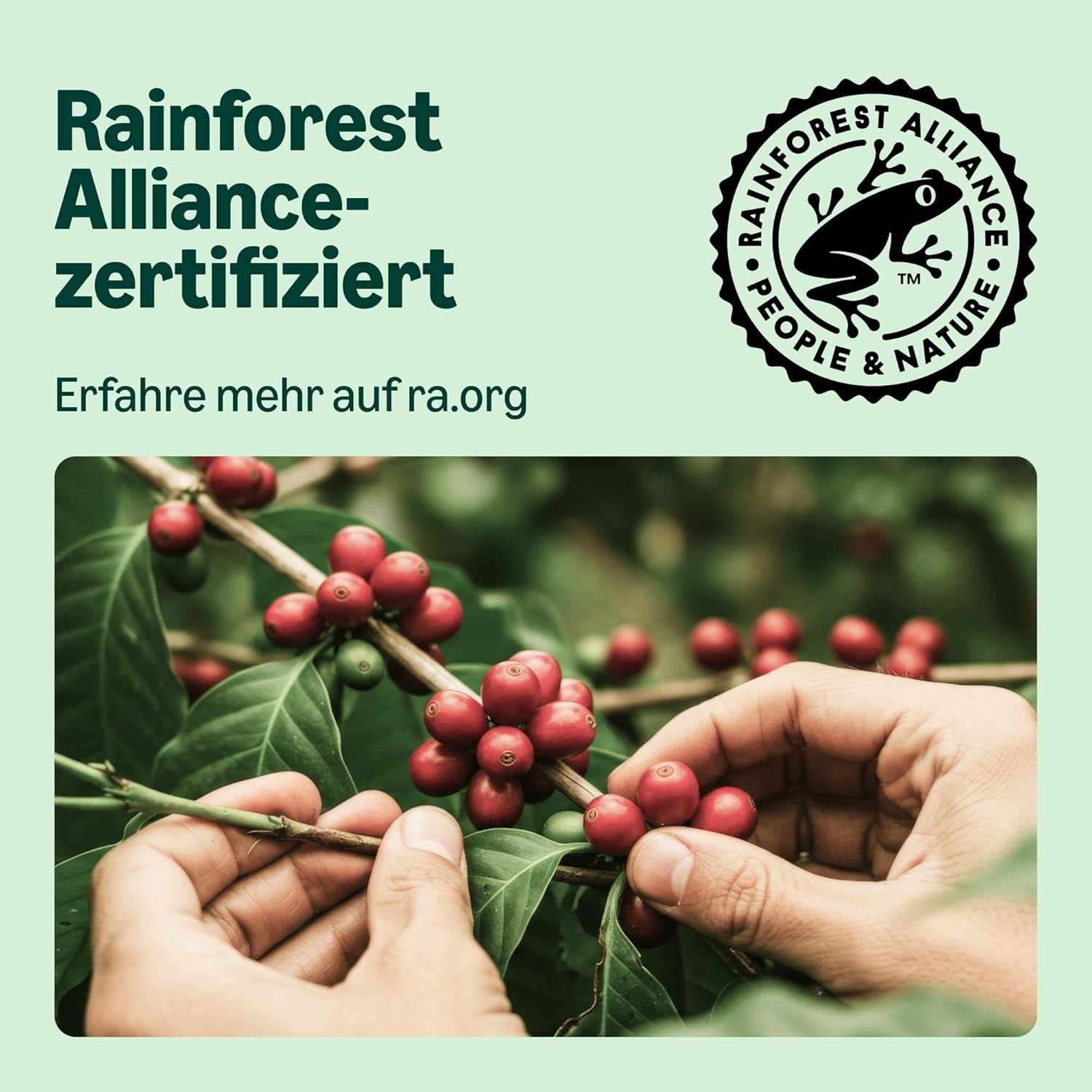 von Amazon Lungo Aluminium-Kaffeekapseln, kompatibel mit Nespresso, mittelgeröstet, 100 Stück (5 Packungen mit je 20 Stück) – Rainforest Alliance zertifiziert