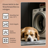 Betten und Sofas, Decken und Möbel, Haustiere, Katzen, Betten für Katzen, Katzenbetten, Matratzen