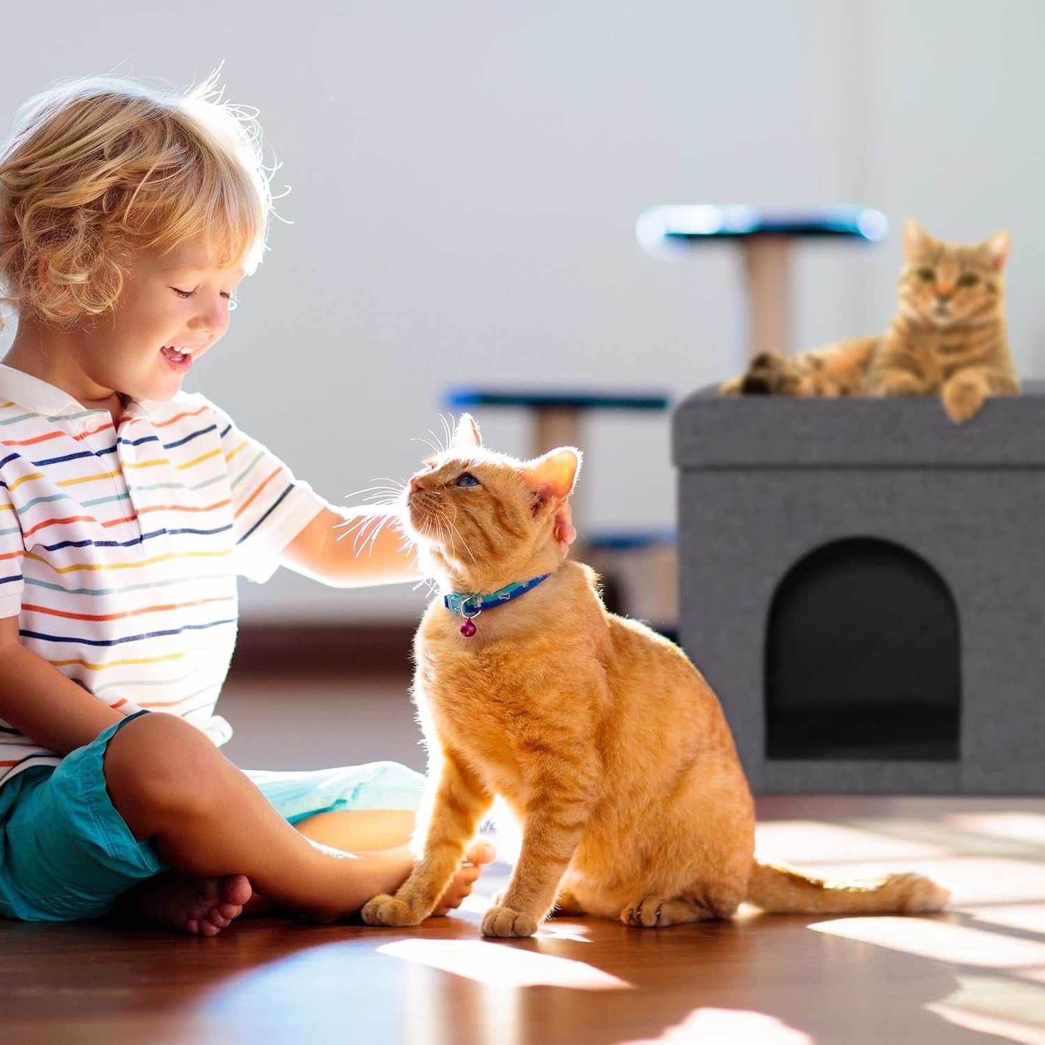 Decken und Möbel, Haustiere, Höhlen und Häuser, Katzen, Betten für Katzen, Katzenbetten, Matratzen