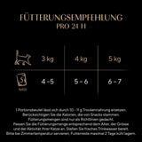 Sheba CATCARE Bag Wet Fresh & FINE (Fisch) Stücke in Soße, Erwachsene, 50 g, Multipack Standard