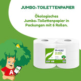 Jumbo Eco Toilettenpapierrollen, 2-lagig, Handwaschcreme mit reinigender, feuchtigkeitsspendender und glättender Formel – Blumenduft – 5 l, 6 Stück (1er-Pack)