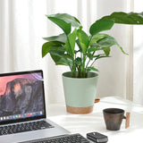 Blumentopf, 6 Stück, 12,7 cm, selbstbewässernder Übertopf, hohe Drainage, Blumentopf für drinnen und draußen, mit Reservoir-Tablett und Bewässerungsrand, Garten-Pflanzgefäß, Garten