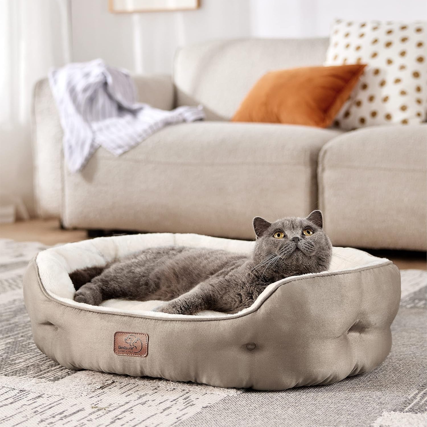 Betten und Sofas, Decken und Möbel, Haustiere, Katzen, Betten für Katzen, Katzenbetten, Matratzen