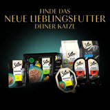 Sheba Nassfutter für Katzen, Delikatesse in Lachsgelee, 2 x 11 x 85 g