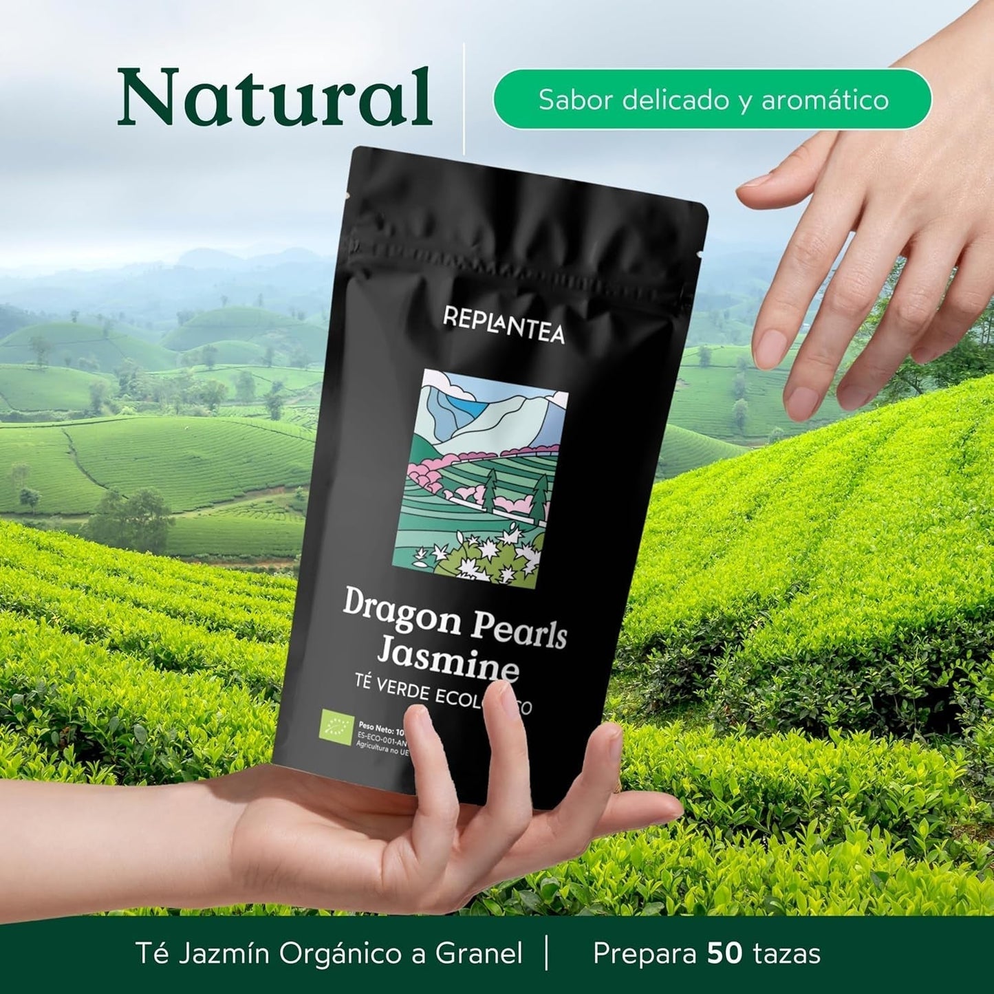 Bio-Tee Jasmin Dragon Pearls (100 g) | Premium-Grüntee in Form handgerollter Jasminperlen | Teespezialität mit zartem Blütenaroma | NEU PFLANZEN
