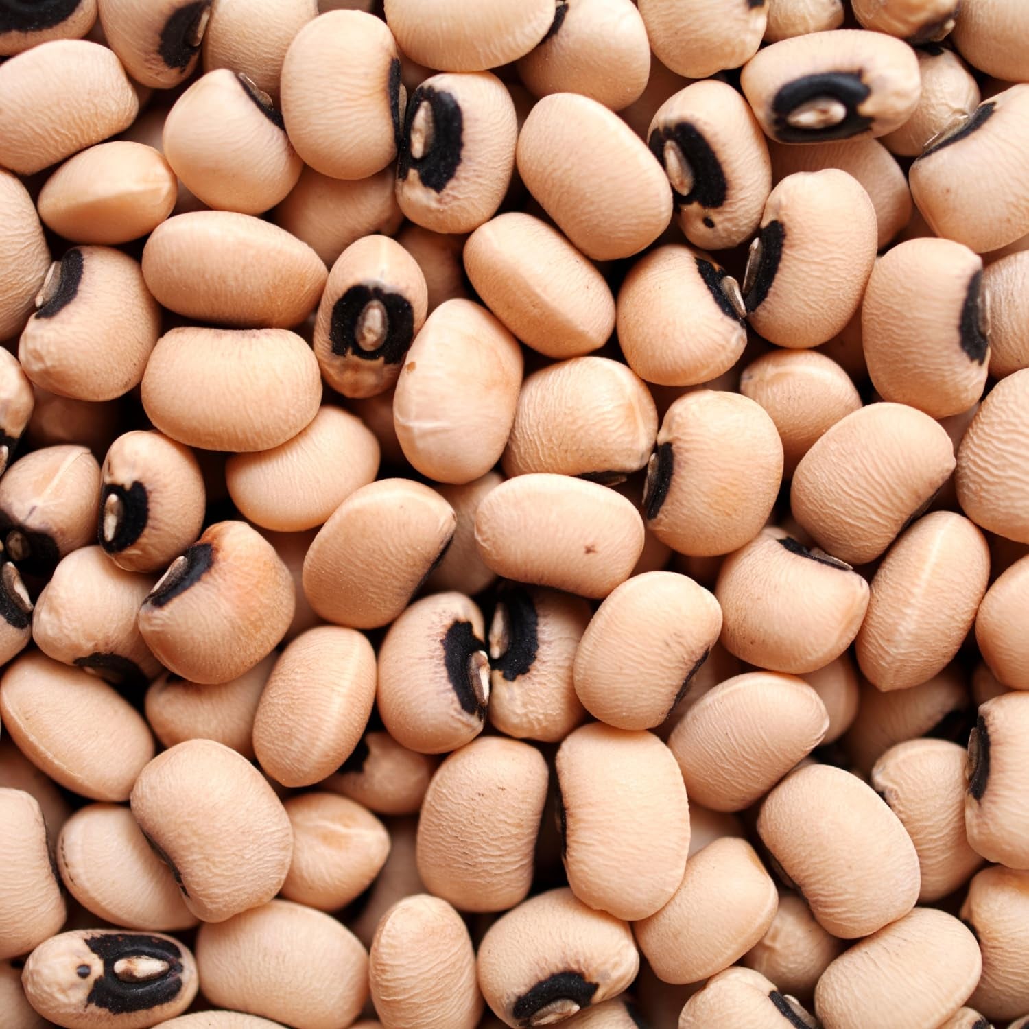 AFROASE - Schwarzaugenerbsen - 1 x 1 kg
