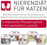 BEAPHAR - Nierendiät mit Huhn - Alleinfuttermittel für Katzen mit chronischer Niereninsuffizienz - Zur Unterstützung der Nierenfunktion - 100 g