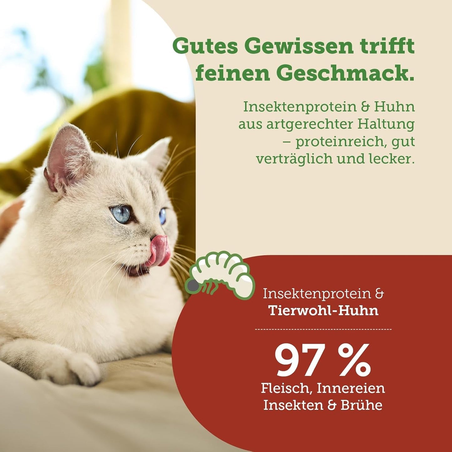 MERA Cats Nature Insect Premium Katzenfutter Nass 12x85g | ohne Zucker und Getreide| Nachhaltig & mit viel Insektenprotein | Katzennassfutter für Erwachsene