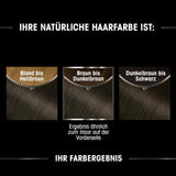 Garnier Farb- und Pflegeset: Olia 3.0 Dunkelbraune permanente Haarfarbe + reparierende Haarkur (340 ml) | Mit Akazienhonig und Bienenwachs für Glanz und Geschmeidigkeit | Kein Ammoniak, Naty Shop Haarfärbemittel