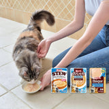 INABA Ciao Broth Nassfutter für Katzen 88 % Feuchtigkeit und Vitamin E, Premium-Suppe für Katzen mit Huhn 40 g (12er Pack), 100 % natürliches Fleisch, getreidefrei, zuckerfrei