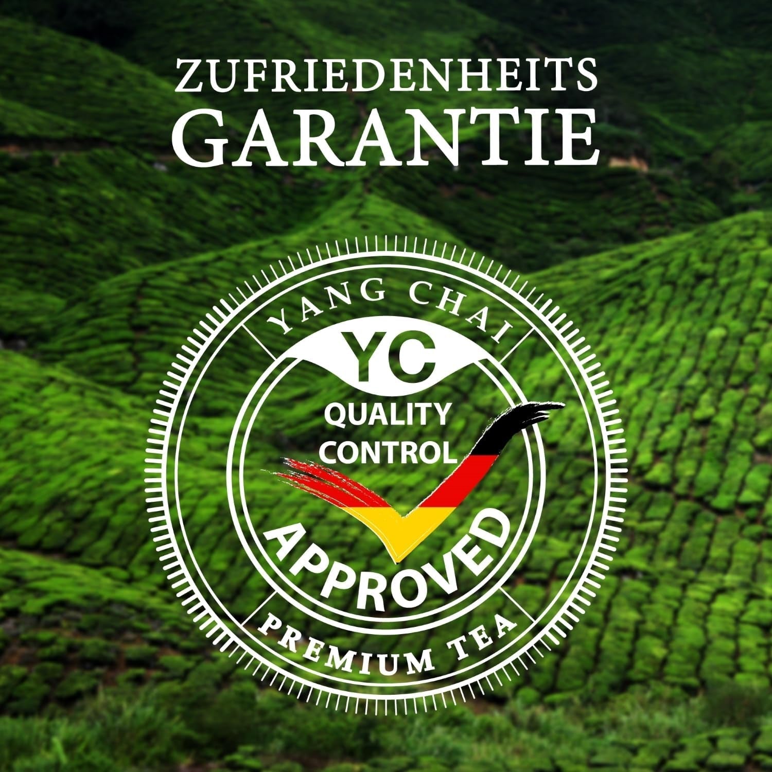 YC Yang Chai Sencha Grüner Tee BIO 250G – Japanischer loser Tee mit Bergamotte-Geschmack – Original japanischer Grüntee „Sencha Dynasty“ aus kontrolliert biologischem Anbau