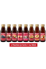 Rabenhorst Mini-Probierpaket, 8 Sorten oder 3 Flaschen (24 x 125 ml) Alkoholfreie Getränke Naty Shop