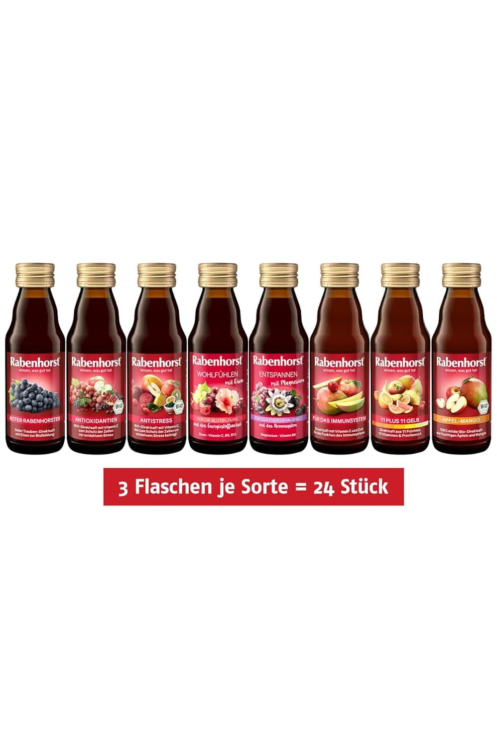 Rabenhorst Mini-Probierpaket, 8 Sorten oder 3 Flaschen (24 x 125 ml) Alkoholfreie Getränke Naty Shop