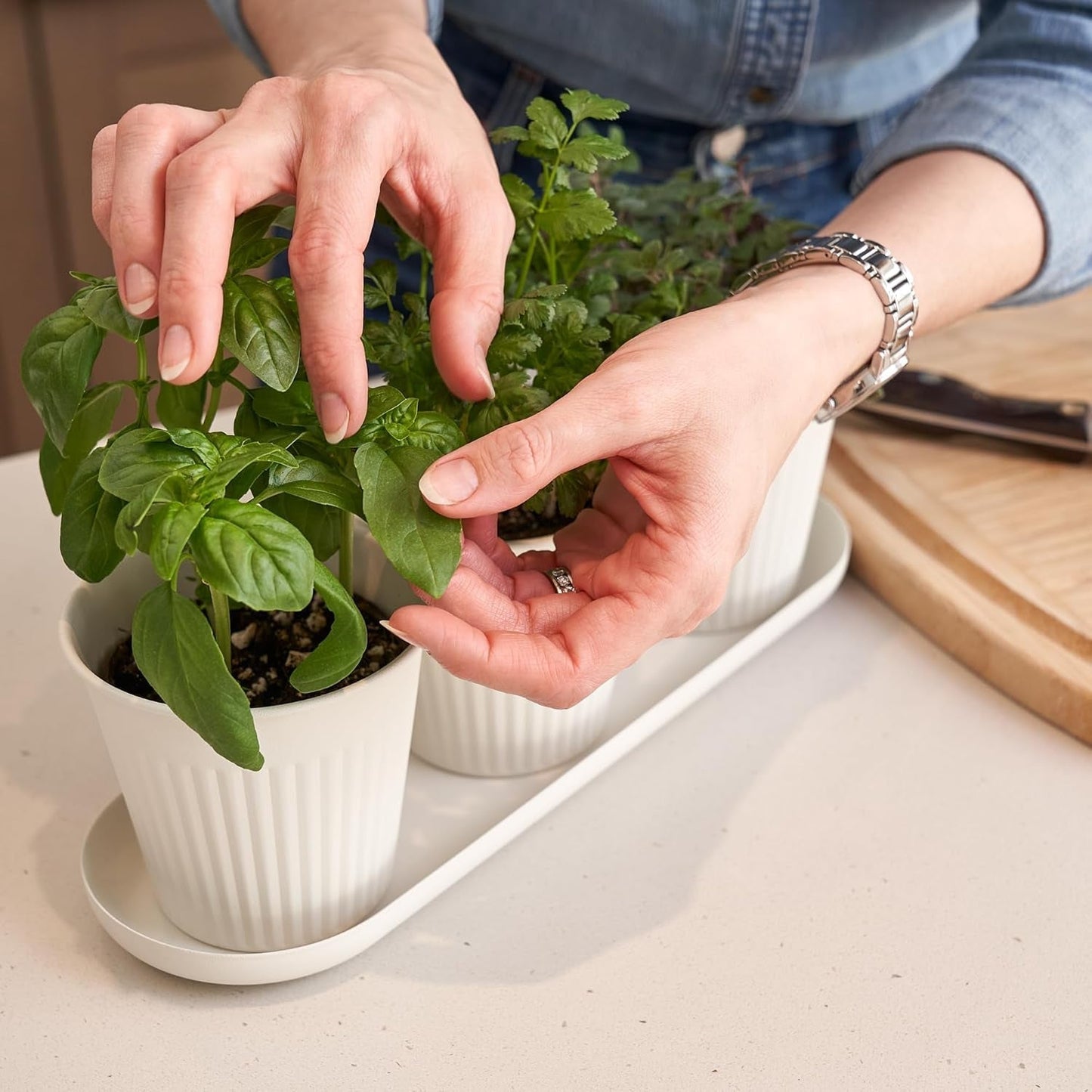 Set aus 3 wunderschönen Kräutergartentöpfen, perfekt für jede Fensterbank oder Küchentheke, ein modernes, dekoratives Gartenpflanzgefäß-Set inklusive Tablett und...