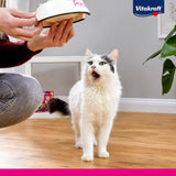 Vitakraft Poésie Création, Tender Selection, Nassfutter für Katzen, Nassfutter für Katzen in Soße, mit Huhn, mit Truthahn, mit Rindfleisch, ohne Zuckerzusatz und Getreide (1 Packung à 6 x 85g)