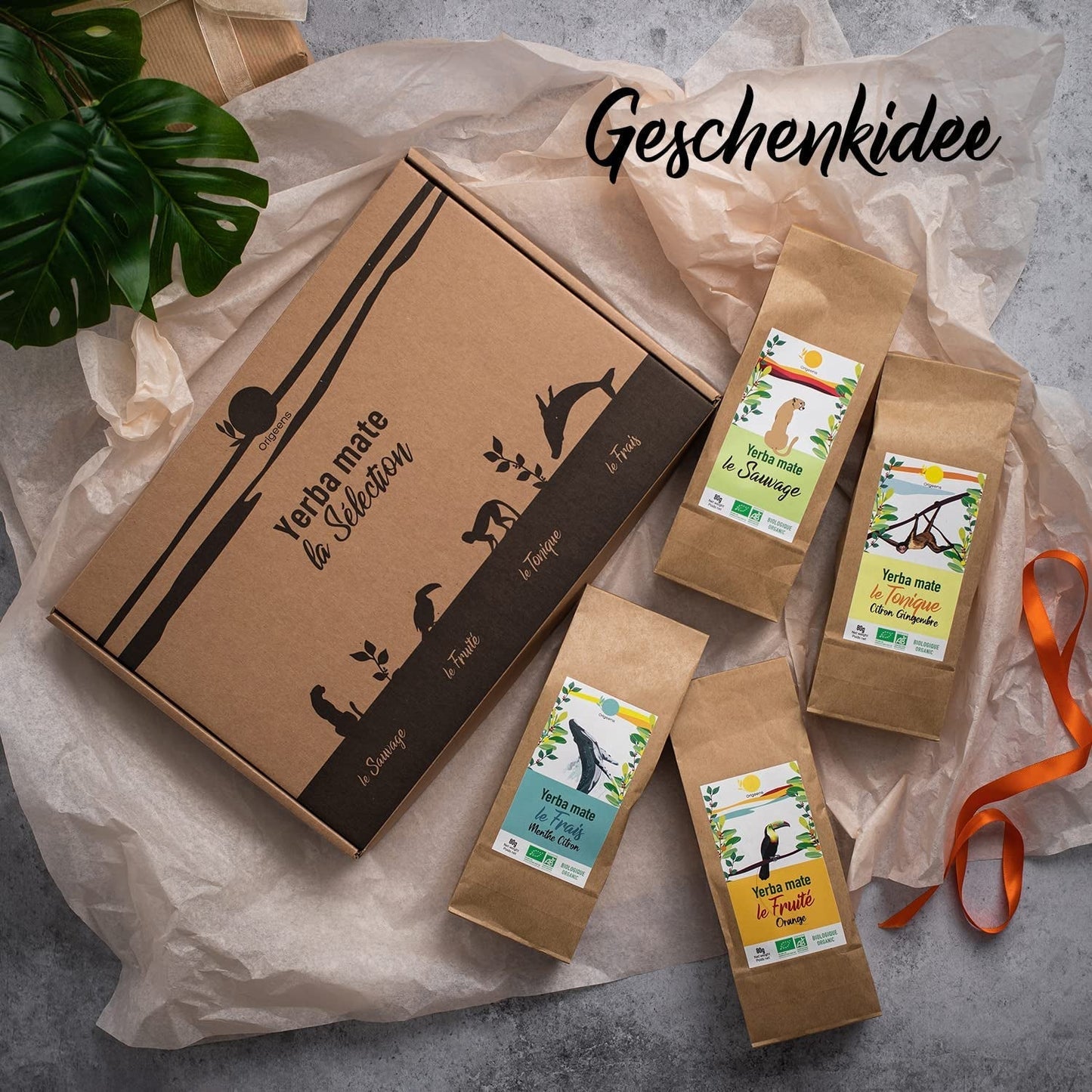 ORIGEENS BIO MATE TEE GESCHENKSET X4 I Yerba Mate Bio 4X80G I Yerba Mate Teeset, Geschenkidee