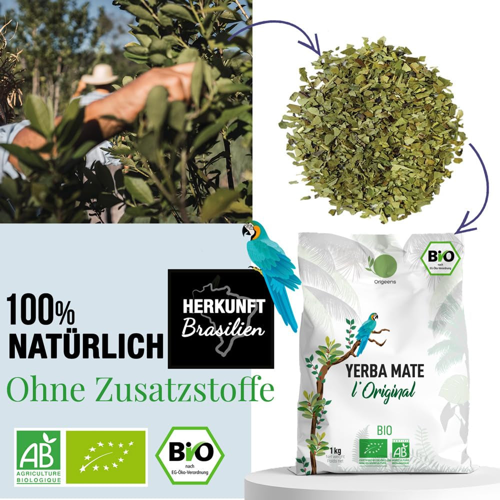 ORIGEENS BIO YERBA MATE TEE 1 KG – Das Original I Ungeröstet, Blätter, ohne Stiele, Staub und Krümel I Energetisierendes und entgiftendes Getränk