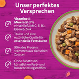 WHISKAS TASTY MIX Nassfutter in Sauce für Katzen 40 x 85g Chef's Choice