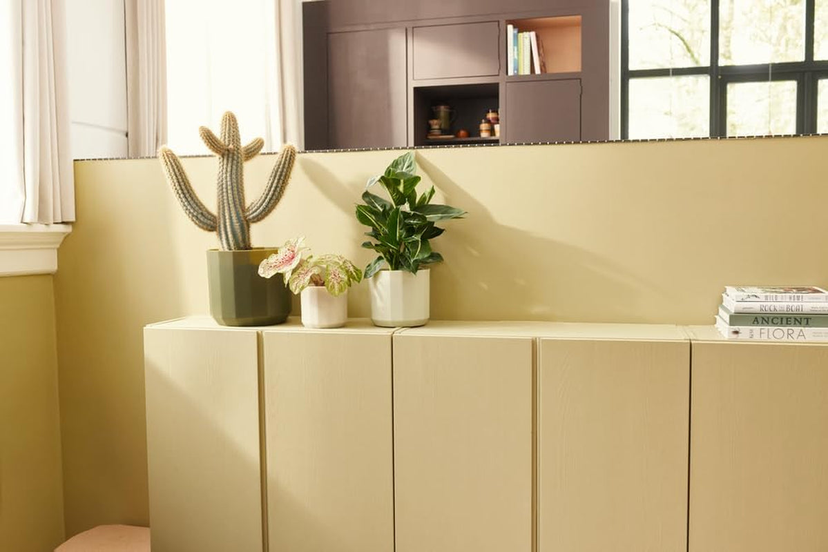 Runder Topf elho Facet 17 cm – für den Innenbereich – 100 % recycelter Kunststoff – Ø 16,6 x H 14,9 cm – Rosa/Mandelrosa