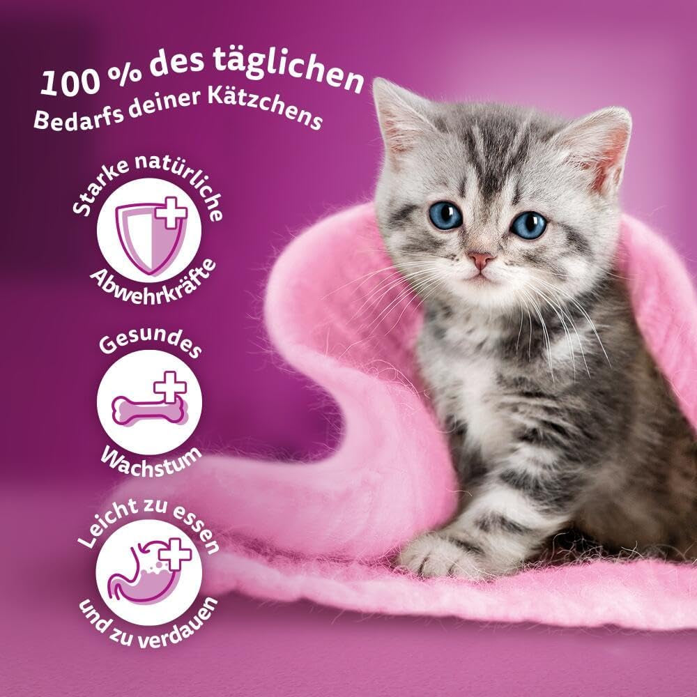 WHISKAS Junior Nassfutterbeutel, Multipack, Auswahl an Geflügelfleisch in Gelee, 12 x 85 g