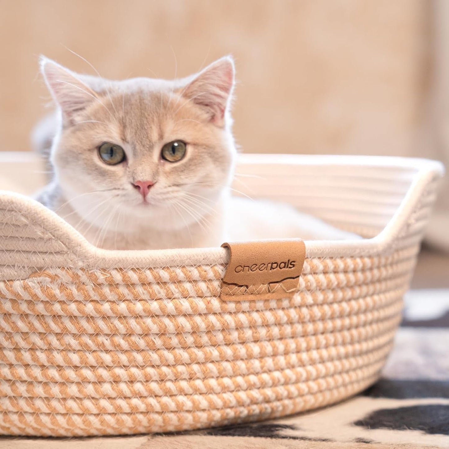 Betten, Decken & Möbel, Haustiere, Katzen, Katzenbetten, Katzenbetten, Matratzen