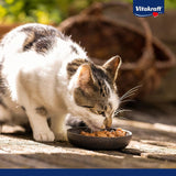 Vitakraft Poésie Création, Nassfutter für Katzen, Nassfutter in Soße, mit Rindfleisch und Karotte, Großpackung, ohne Zusatz von Zucker oder Getreide (15 x 85g)