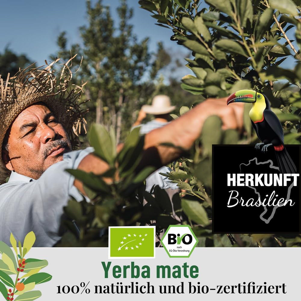 ORIGEENS BIO YERBA MATE mit Orangen 200 G – Fruchtiger Tee I Ungerösteter Bio-Yerba Mate-Tee, ohne Stiele und Staub I Energetisierendes und entgiftendes Getränk