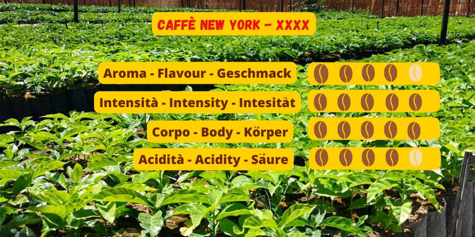 Caffè New York - XXXX - Kaffee aus ganzen Bohnen - 1000g