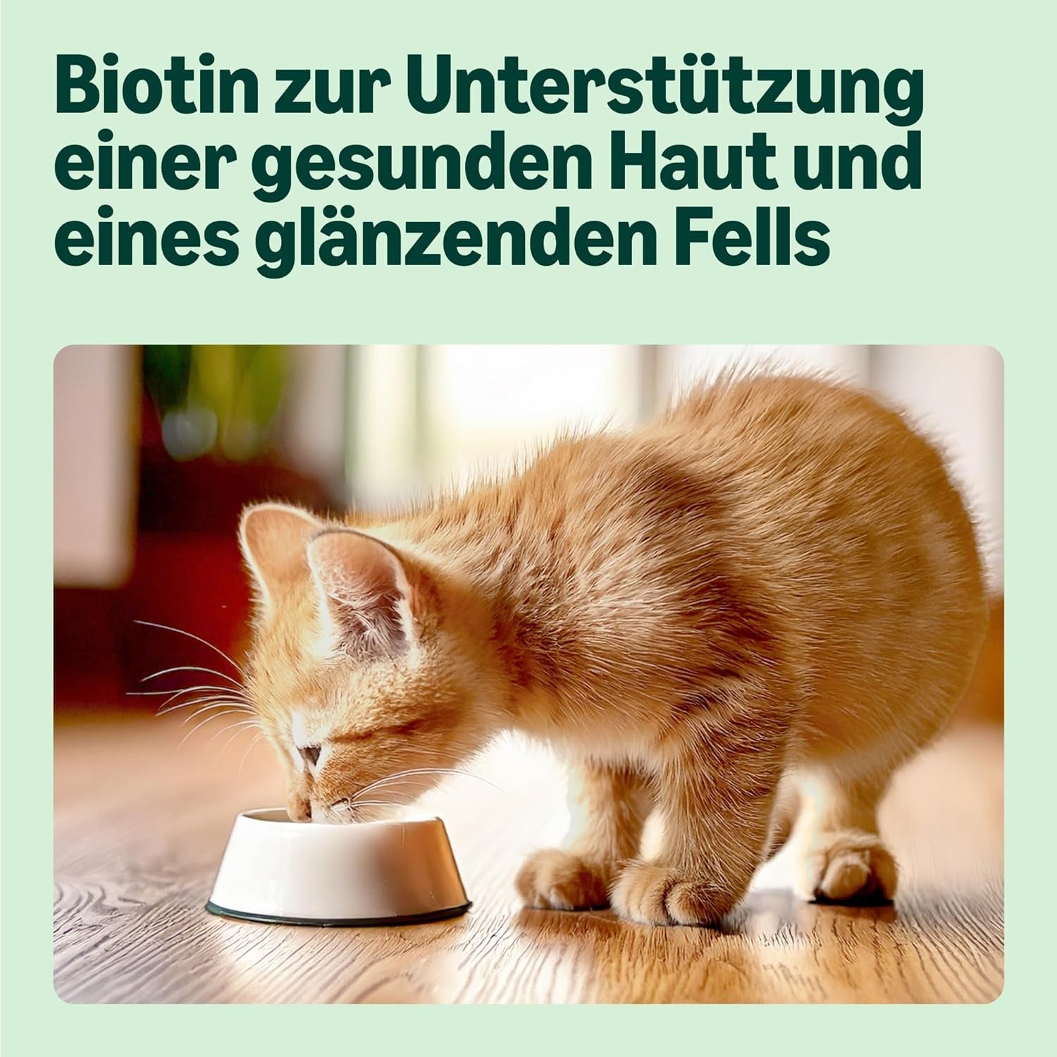 Amazon Mixed Selection Nassfutter für junge Katzen in Gelee, 1,2 kg (12 Beutel à 100 g)