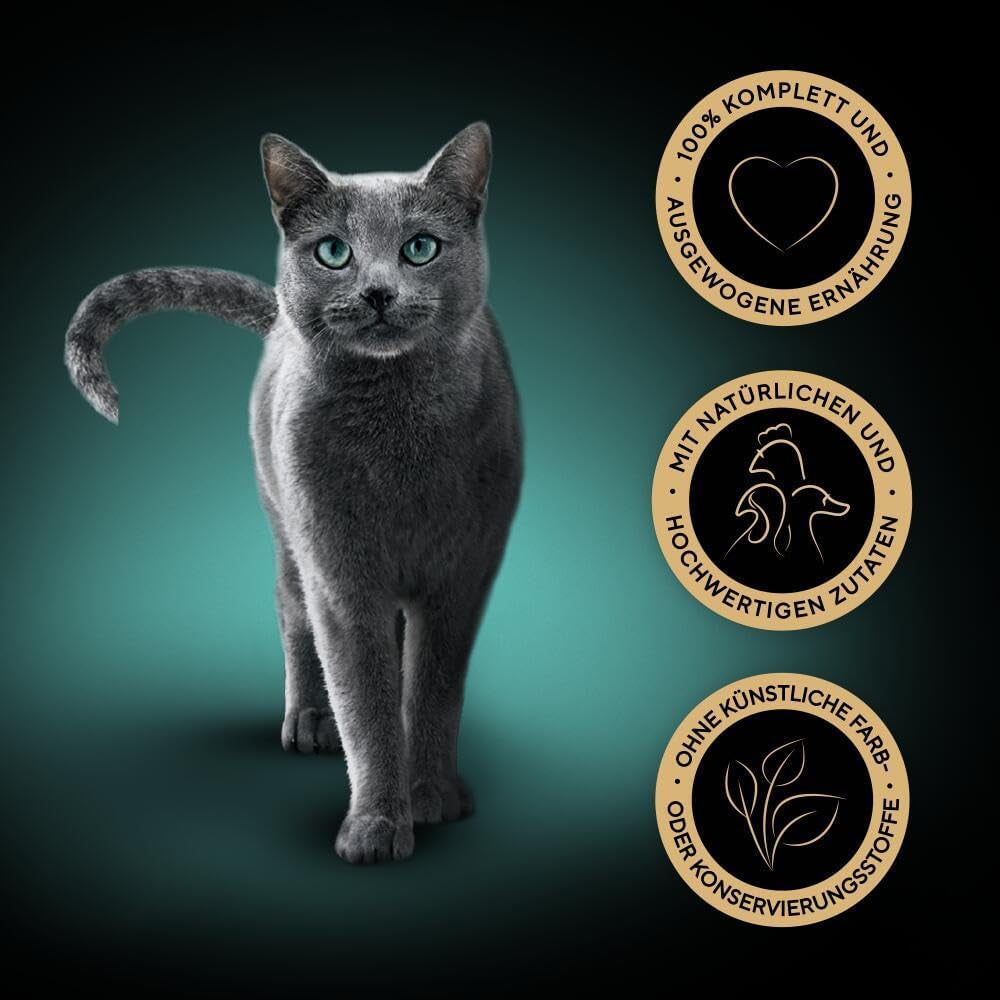 SHEBA Nassfutter für Katzen – 72 Beutel x 85 g – Geflügelsorte in Gelee – Nassfutter für Katzen – 1 große Packung