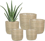 Scheurich Seagrass 17, Korbtopf/Seegras-Korbtopf, Farbe: Weiß, Durchmesser 17 cm, Höhe 16 cm, Volumen 3,5 l.