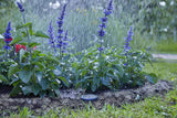 Gardena Verlängerungskabel (10 m) für Regensensor und Bodenfeuchtesensor, Verbindungskabel mit Easy Click System, verlängerbar bis 105 m, für ober- und unterirdischen Einsatz (01868-20)