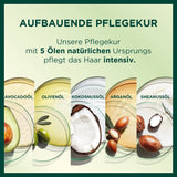 Garnier Nutrisse Permanente Pflege-Haarfarbe mit pflegenden Fruchtölen, 8 Wochen Halt, Ultra-Crème-Tönung, 036 Black Cherry (2er-Pack) Naty Shop Haarfarbe