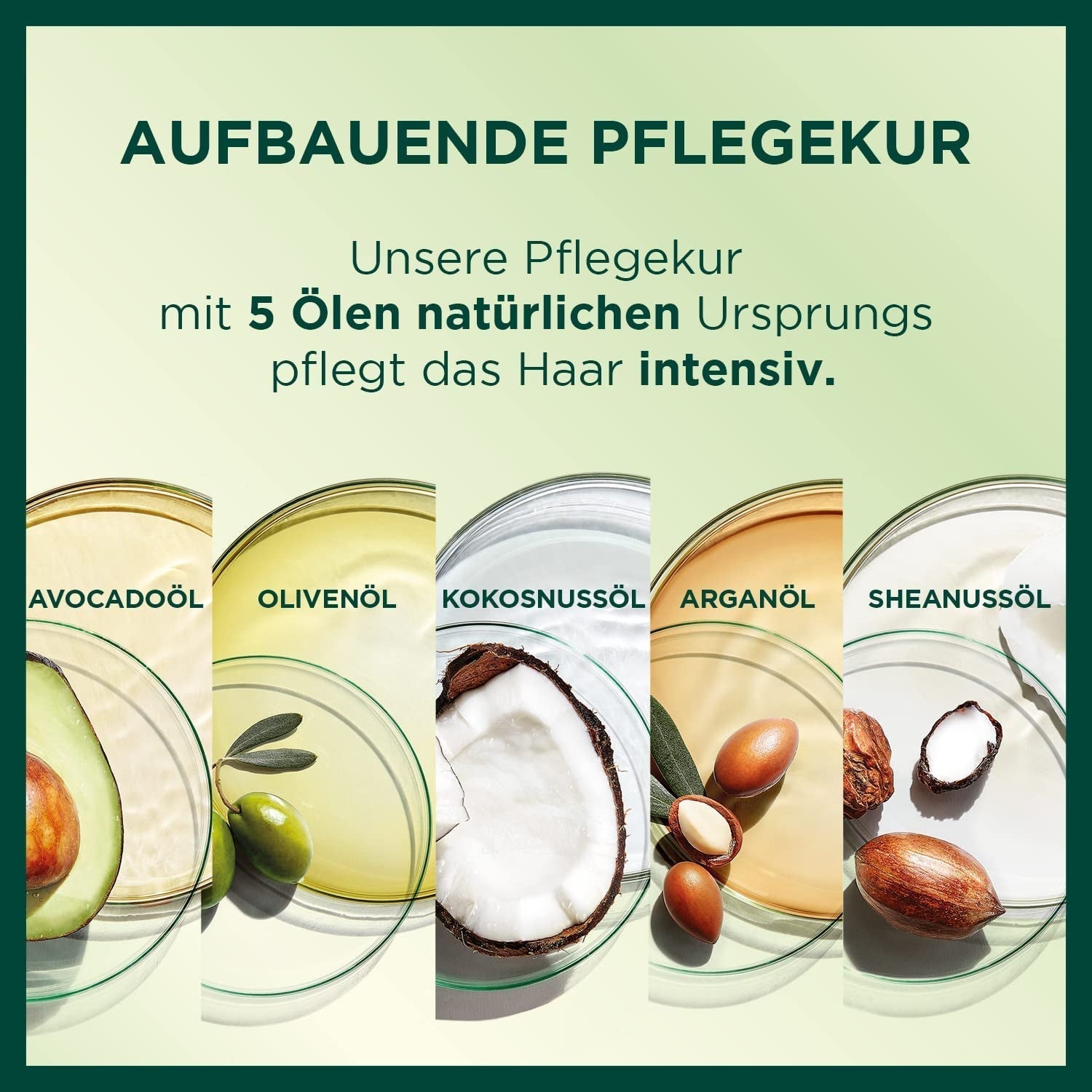 Garnier Nutrisse Permanente Pflege-Haarfarbe mit pflegenden Fruchtölen, 8 Wochen Halt, Farbe Ultra Crème Tint 053 Samtbraun (3er-Pack), Naty Shop Haarfarbe