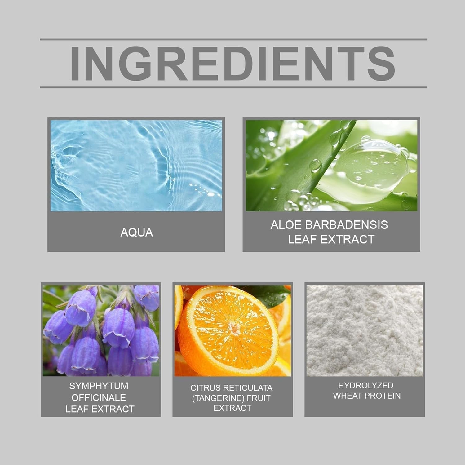 Haarfarbe Silber, Silbergrau, natürliche Haarfärbecreme, temporäre Haarfärbecreme, graue Haarfärbecreme, halbpermanente silberne Haarfarbe für alle Haartypen, 2 Stück, Naty Shop Haarfärbemittel