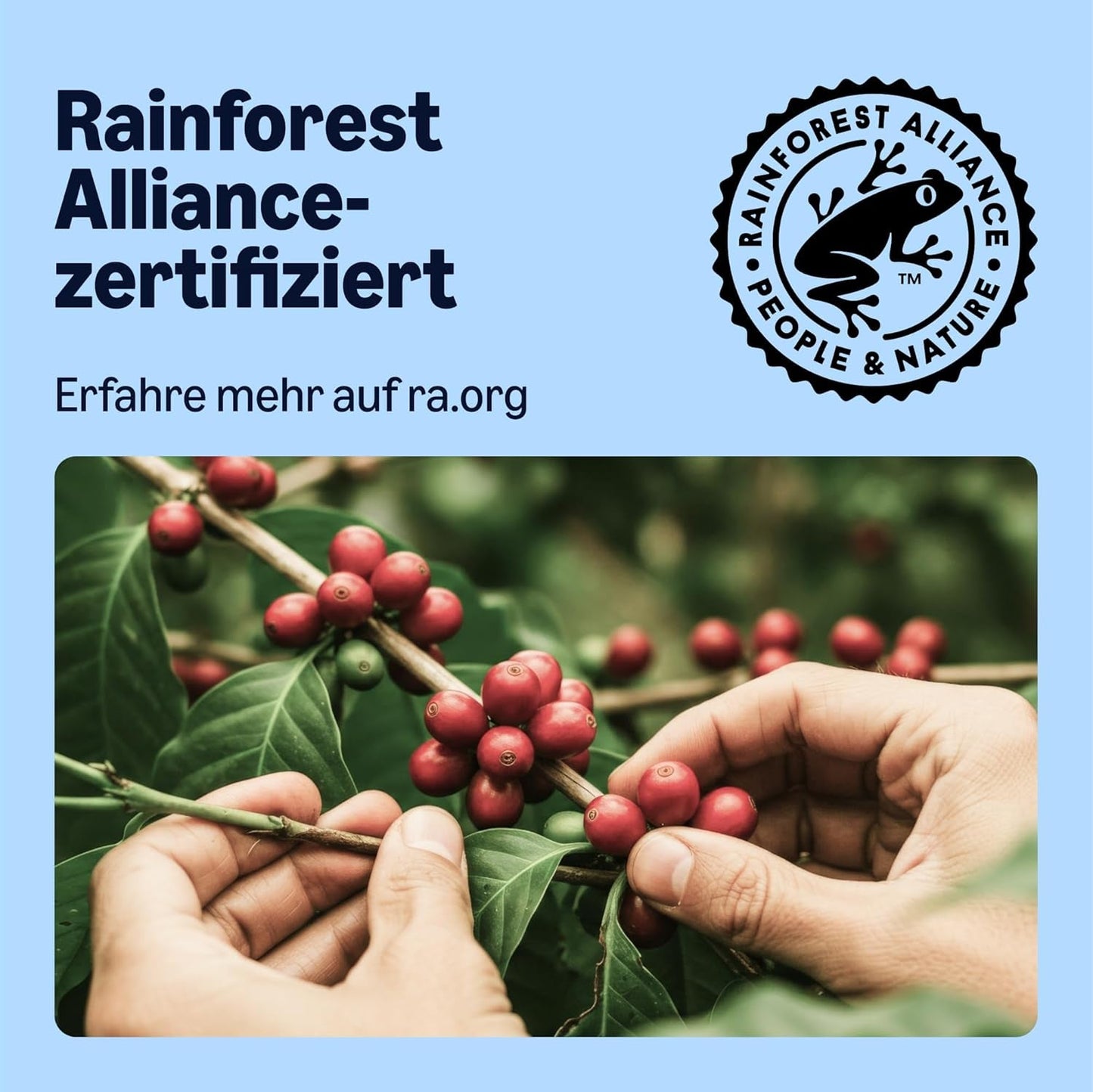von Amazon Entkoffeinierte 100% Arabica-Kaffeepads, geeignet für Senseo-Maschinen, mittlere Röstung, 36 Stück (1 Packung mit 36 ​​Stück) – Rainforest Alliance-zertifiziert