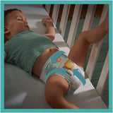 Windeln PAMPERS Baby-DRY Größe 7 123