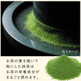 Itoen Oiocha Matcha-Iri Ryokucha – Japanische Grünteeblätter – 100 g