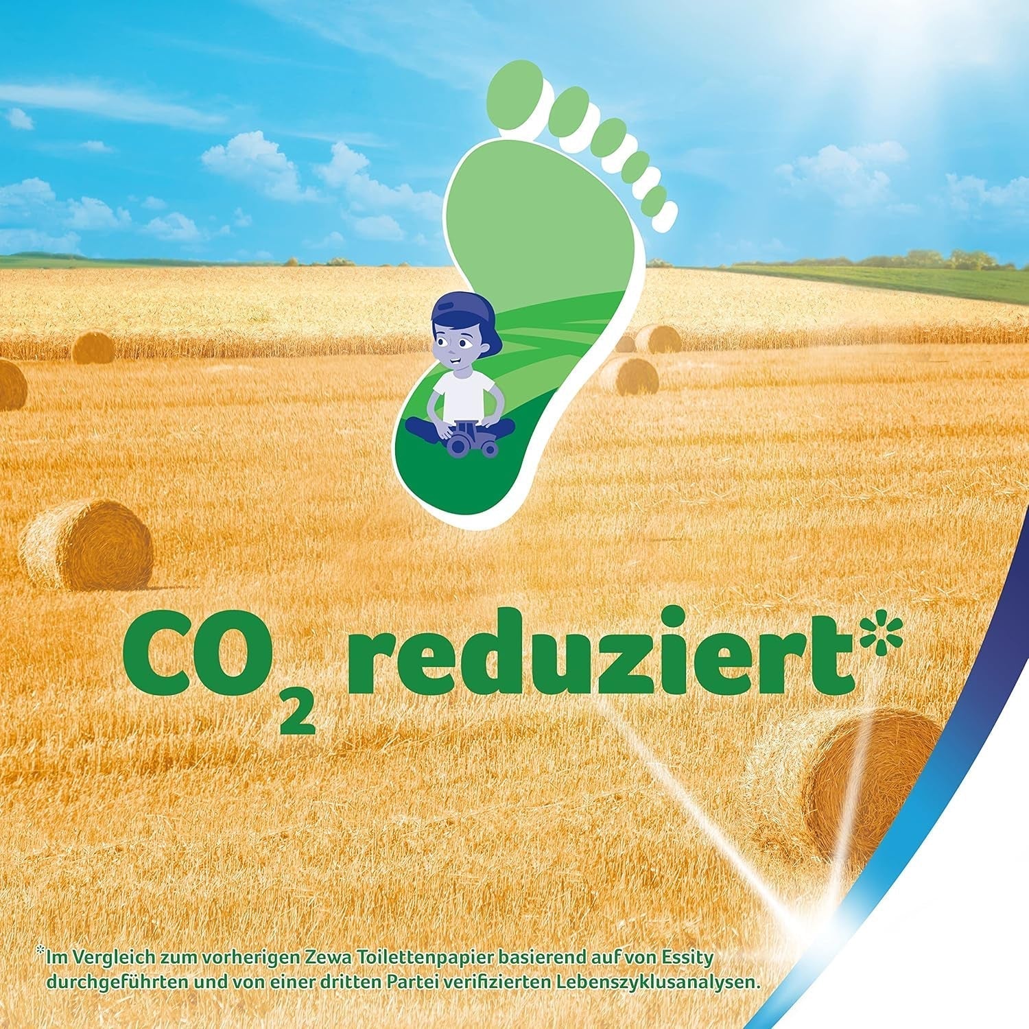 Zewa Proven – 48 Rollen – Das erste Toilettenpapier mit Strohanteil – 3 Schichten