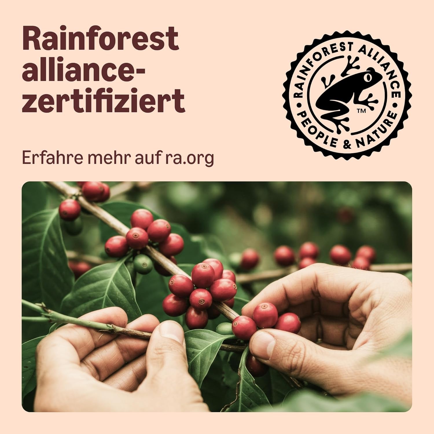 Von Amazon Heimkompostierbare Kaffeekapseln, kompatibel mit Nespresso, 100 % kolumbianischer Arabica, 20 Stück – Rainforest Alliance-zertifiziert