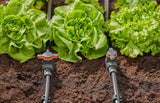 Gardena Micro-Drip-System Regulier- und Absperrventil 13 mm (1/2 Zoll): Einfaches Absperren von Rohren und stufenlose Regulierung des Wasserflusses, Zubehör zum Verlegen von Tropfrohren (13207-20)