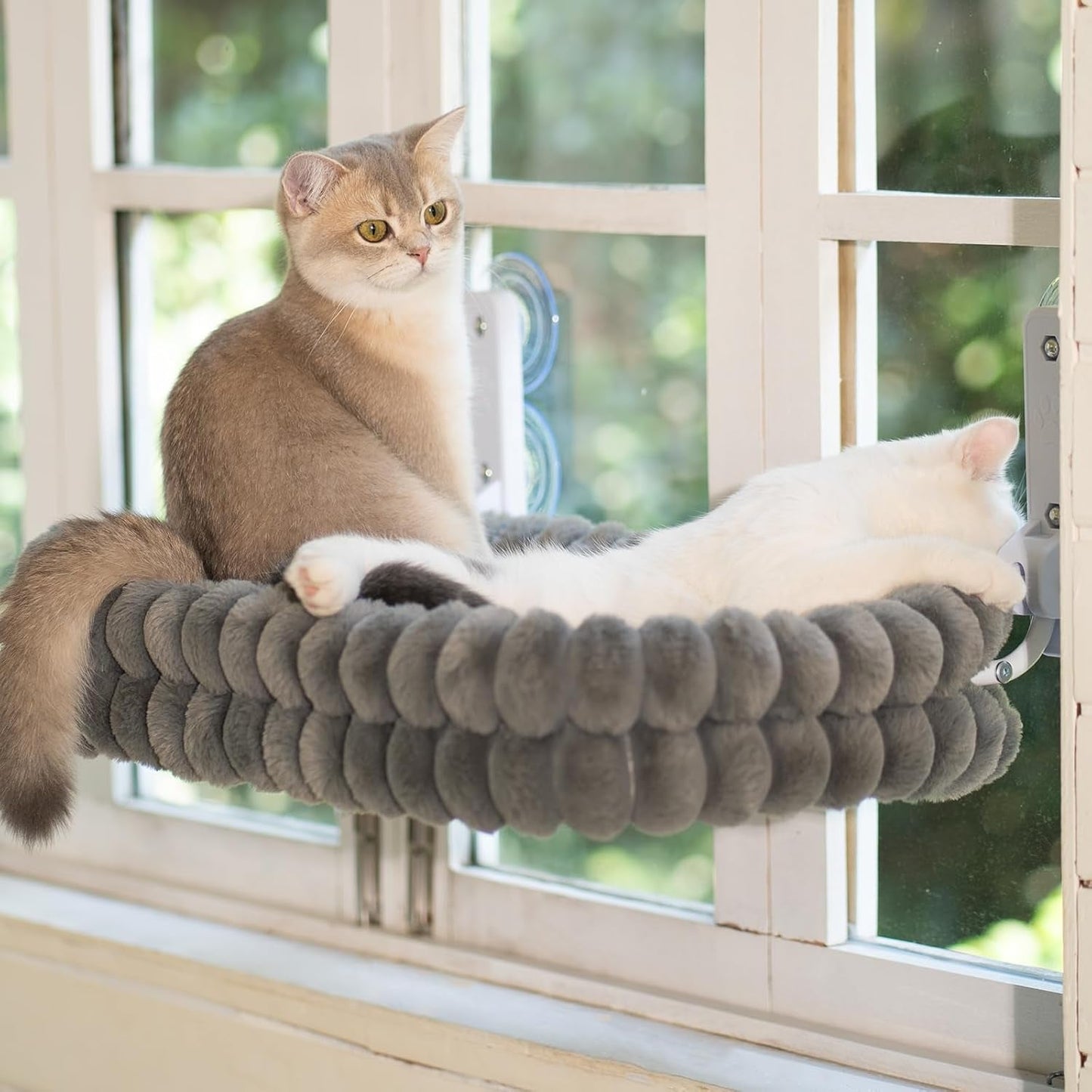 Betten, Decken & Möbel, Haustiere, Katzen, Katzenbetten, Katzenbetten, Matratzen