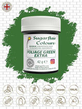 Sugarflair Max Concentrated Foliage Green Lebensmittelfarbe, hochkonzentrierte Marzipan- und Fondant-Lebensmittelfarbe, Max Concentrate Pastenfarbe – 42 g