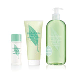 Elizabeth Arden Green Tea, erfrischende Körperlotion mit grünem Tee für Frauen, 200 ml Cosmetics and Beauty Naty Shop Set mit Duschgel + Deocreme