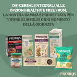 Leichte Bio-Cornflakes 500g pro Packung