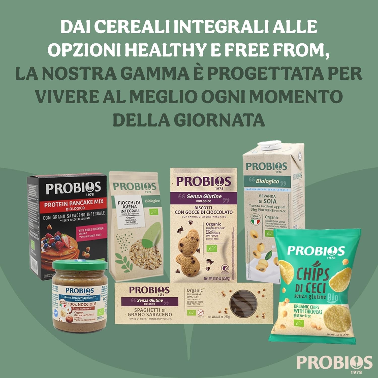 Leichte Bio-Cornflakes 500g pro Packung