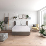 Traumnacht Green Basic Kissenset bestehend aus zwei Kissen 80 x 80 cm, Öko-Tex zertifiziert, hergestellt nach dem deutschen Qualitätsstandard Naty Shop Standardkissen 80 x 80 cm