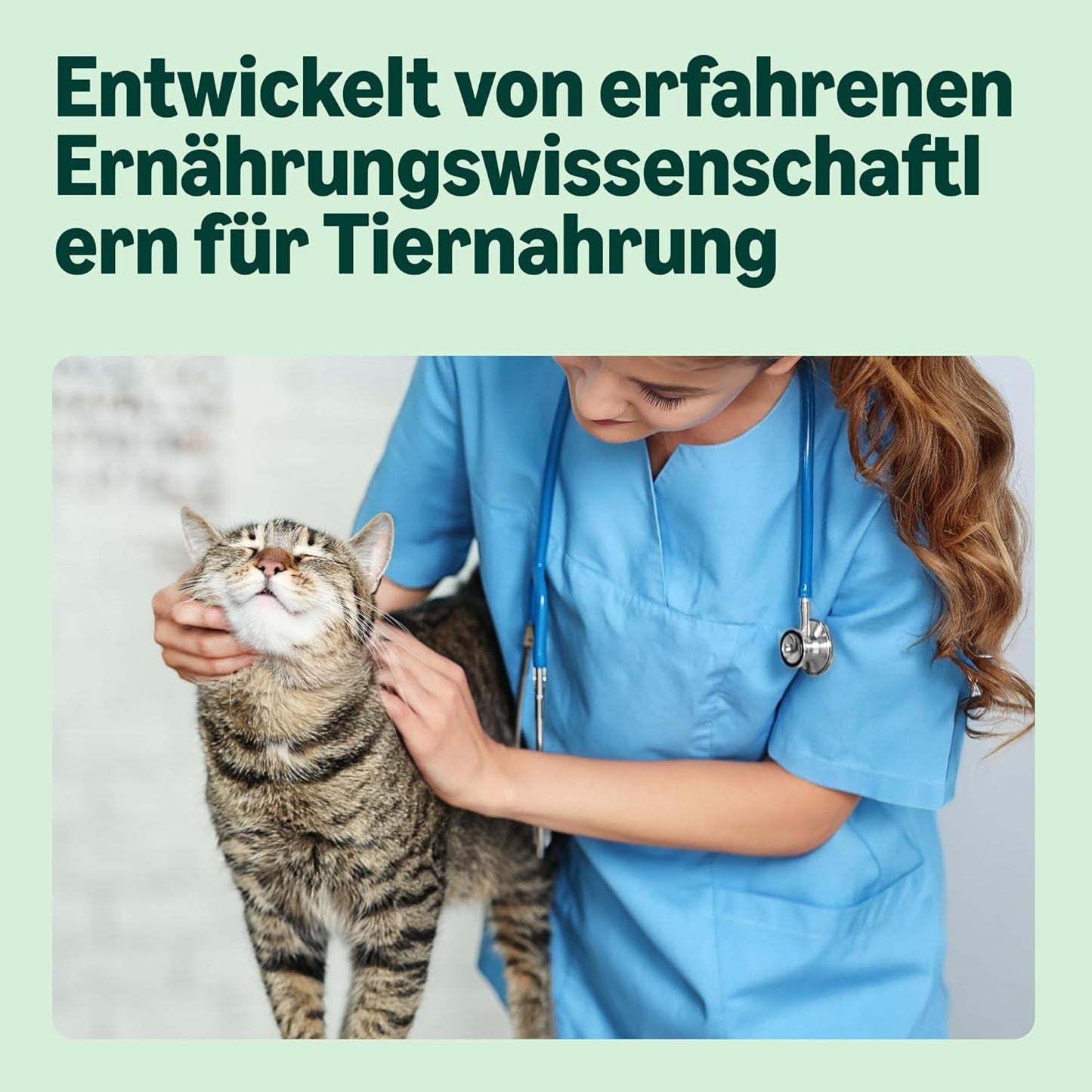 Amazon Nassfutter für ausgewachsene Katzen, gemischte Auswahl in Sauce, 4,8 kg (48 Packungen x 100 g)